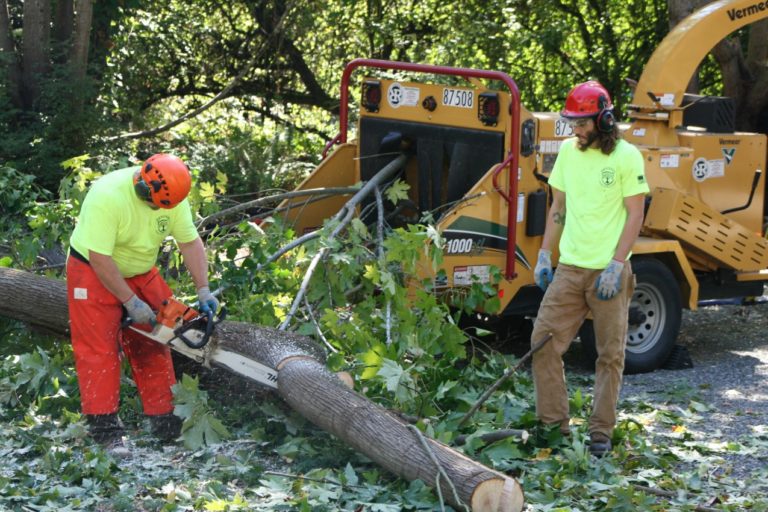 Crew feeding storm-downed limbs into a chipper