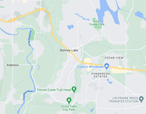 Bonney Lake WA tree service