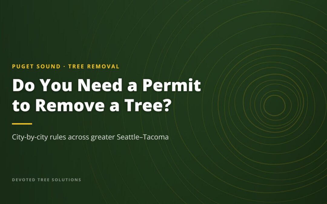 Do You Need a Permit to Remove a Tree? City-by-city rules across greater Seattle-Tacoma.